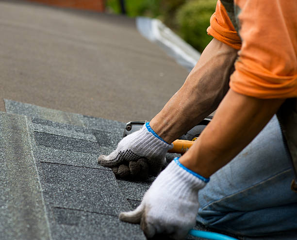 Best Metal Roofing Contractor  in Muscatine, IA